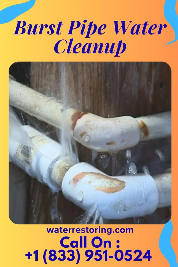 Burst Pipe Water Cleanup in Lockwood, MT