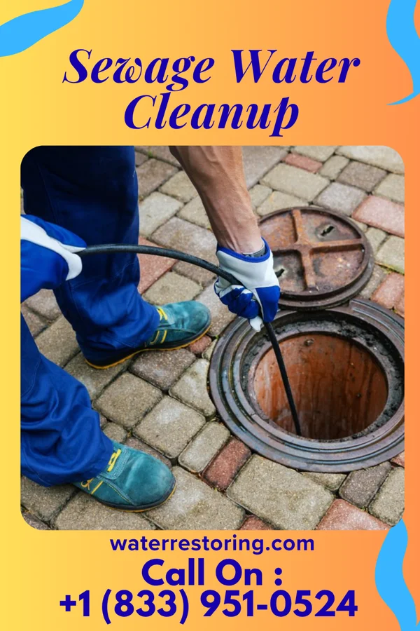 Sewage Water Cleanup in Lockwood, MT
